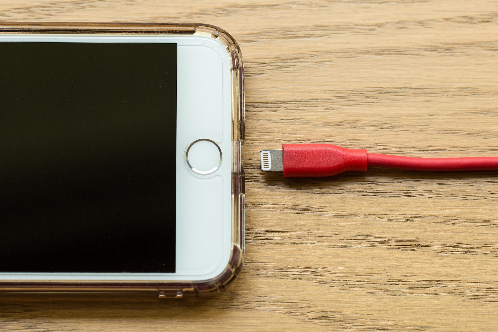 IPHONE CHARGER AND DATA CABLE